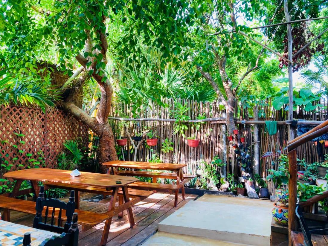 Hostal Holbox Exteriér fotografie