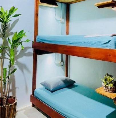Hostal Holbox Exteriér fotografie